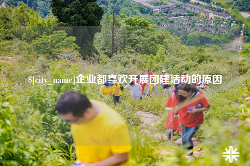 北屯企业都喜欢开展团建活动的原因